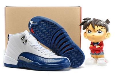 Air Jordan 12-254